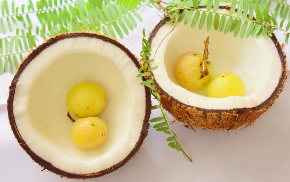 Quels sont les avantages de l'amla pour les cheveux ?