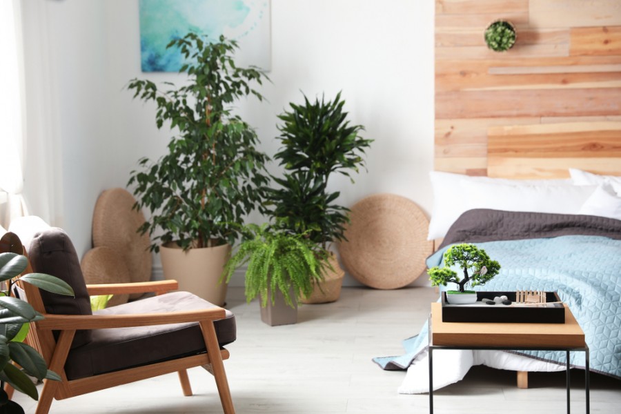 Aménager une chambre Feng Shui pour assurer un bien-être optimal