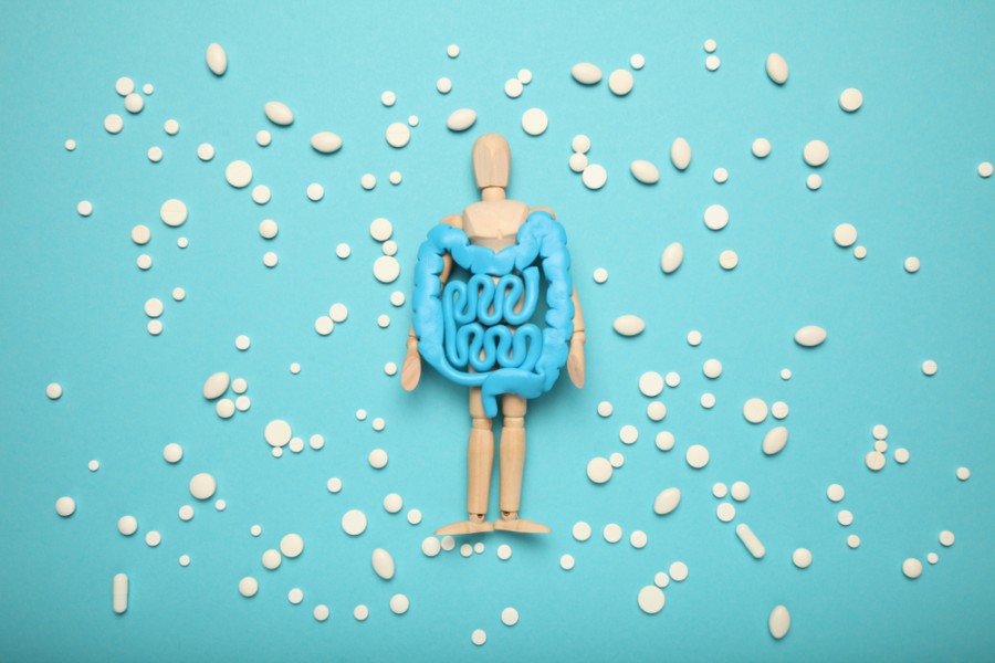 Probiotique digestion : comment bien les choisir ?